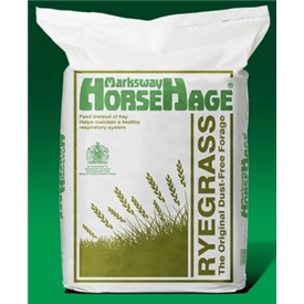 Horsehage Ryegrass 20 kg